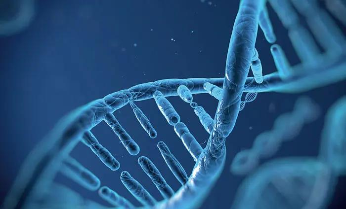 PLLA(聚左旋乳酸)全新科普